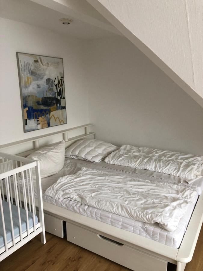 Ferienwohnung Harzsterne 브라운라제 외부 사진